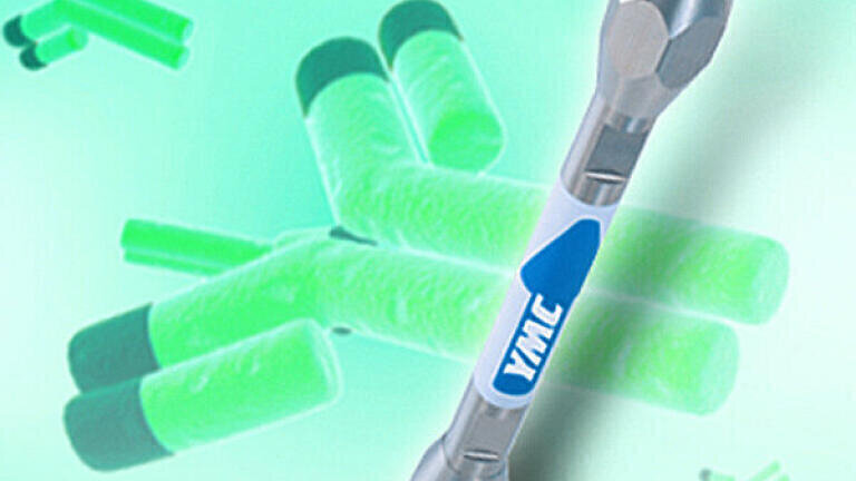RP Analyses of Monoclonal Antibodies Using YMC-Triart Bio C4 and High Temperatures